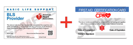 CPR and First Aid Class Dallas